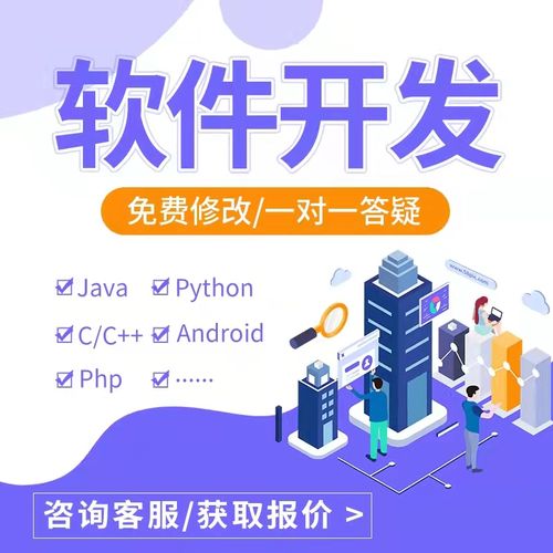 计算机程序设计安卓asp.net代做java定制php网站软件python开发vb